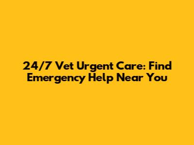 24/7 Vet Urgent Care: Find Emergency Help Near You
